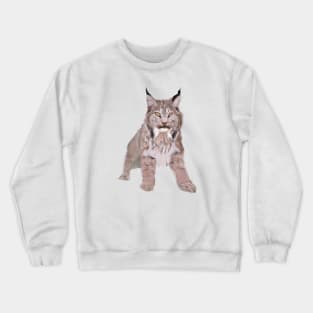 Cute Canada Lynx Drawing Crewneck Sweatshirt